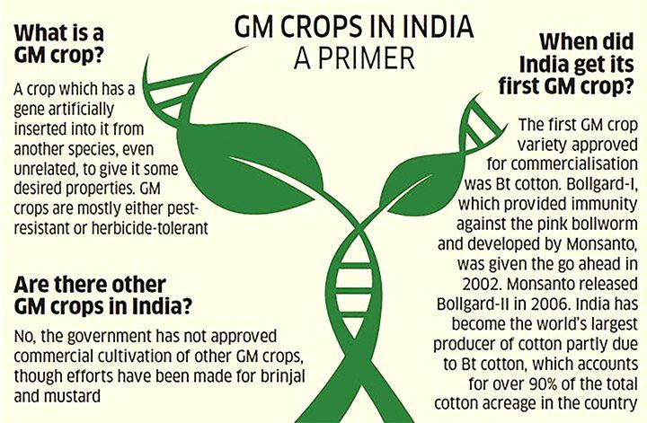 The status of transgenic crops in India