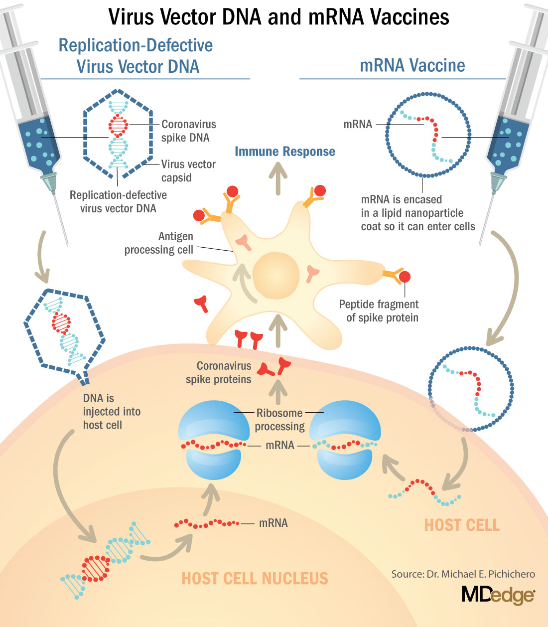 India's first mRNA vaccine against Omicron approved