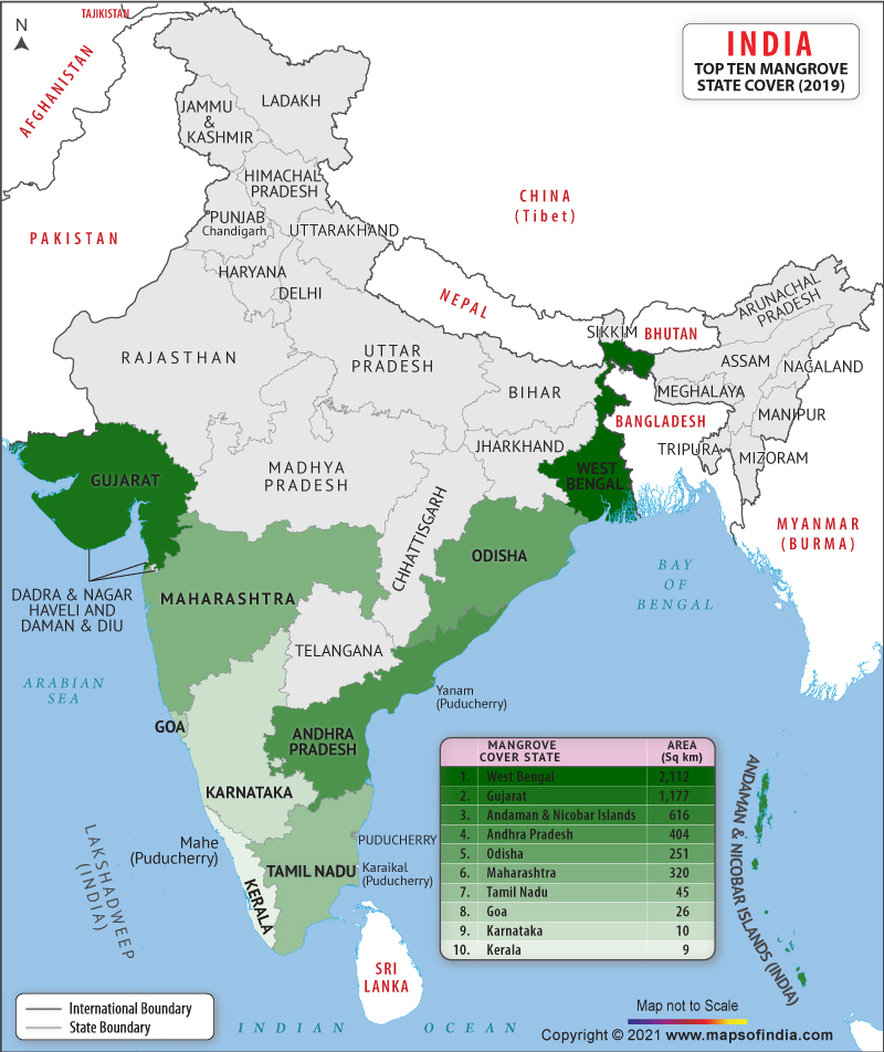 WEST BENGAL GOVERNMENT ANNOUNCES A 'MANGROVE CELL'