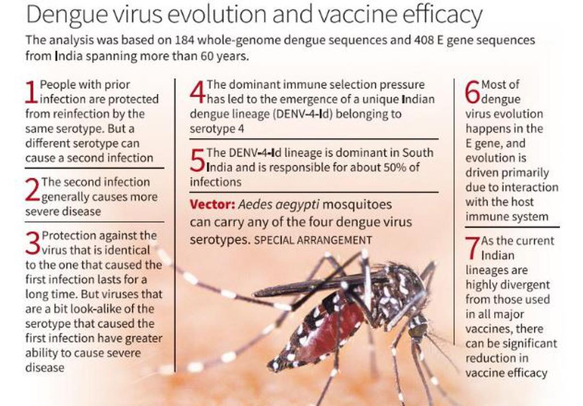 SCIENCE: THREAT OF DENGUE FEVER ESCALATES GLOBALLY