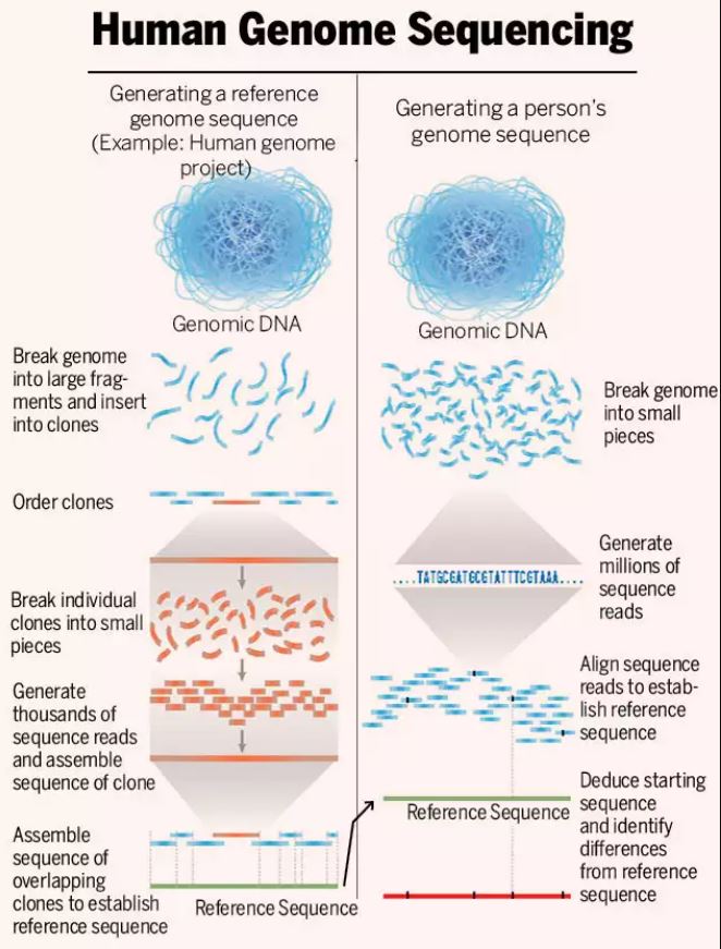 SCEINCE: CELL-FREE DNA PROMISES TO TRANSFORM HOW WE FIND DISEASES IN ADVANCE