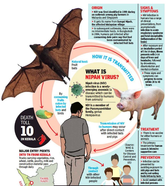 Nipah breaks out again in Kerala