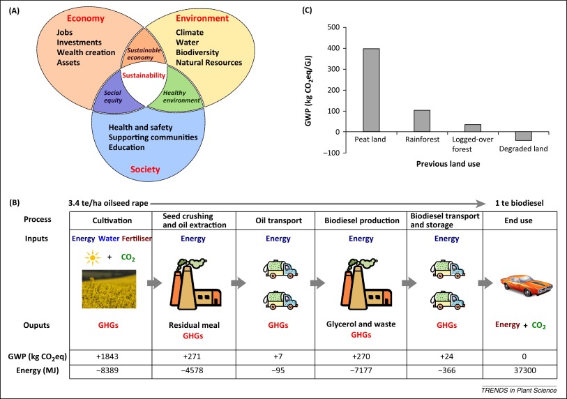 Editorial: The complex path to biofuel sustainability